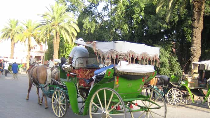 marrakech city tour by carriage