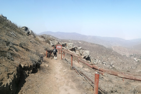 Hiking Lomas de Lachay in Lima