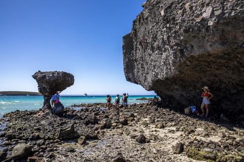 La Paz: Balandra or Tecolote amazing Beach Day Tour