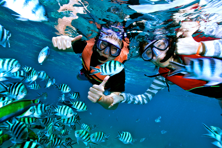 Hurghada: Dolphin & Coral Reef Snorkeling Tour with Lunch Boat, Snorkeling, Lunch with Private Transfer