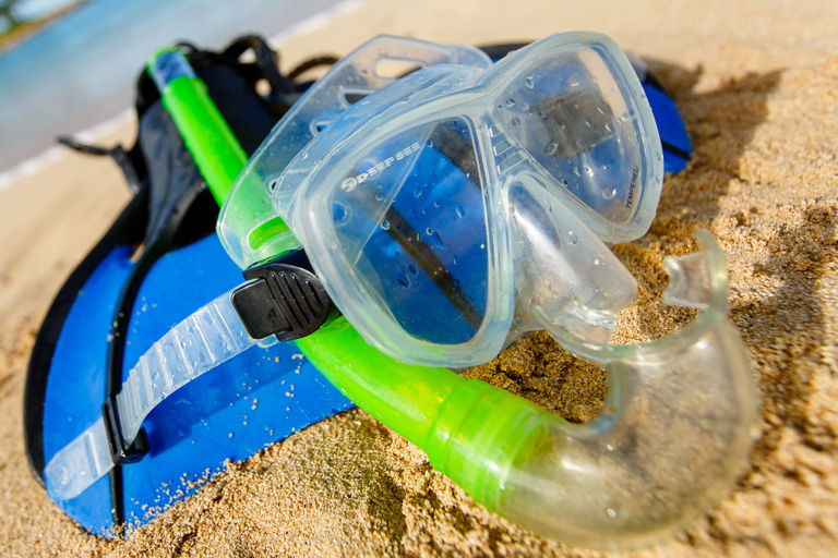 Hurghada: Snorkeltour langs dolfijnen en koraalriffen met lunchSnorkelen &amp; lunch met dolfijnen - exclusief btw