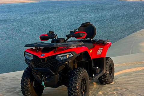 Desert: Quad bike or dune buggy Camel ride and Sand boarding Group tour with dune buggy,camel ride & sand boarding