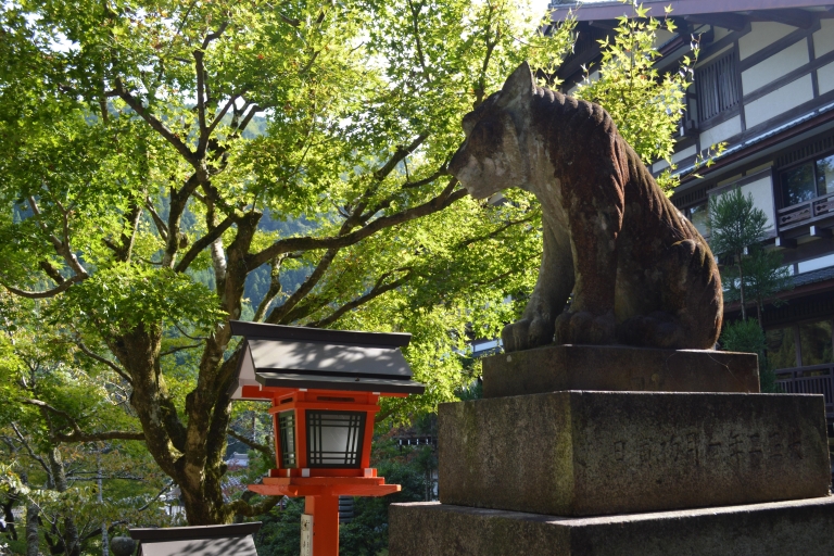 Wycieczka do Kioto i wizyta w gorących źródłach