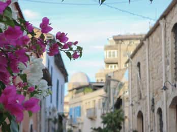 Descobre Limassol e a cultura cipriota com um habitante local (com base em gorjetas)