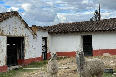 Hacienda La Colpa & Llacanora Tour