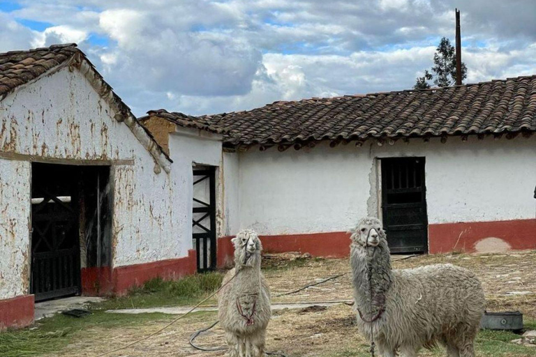 Hacienda La Colpa & Llacanora Tour