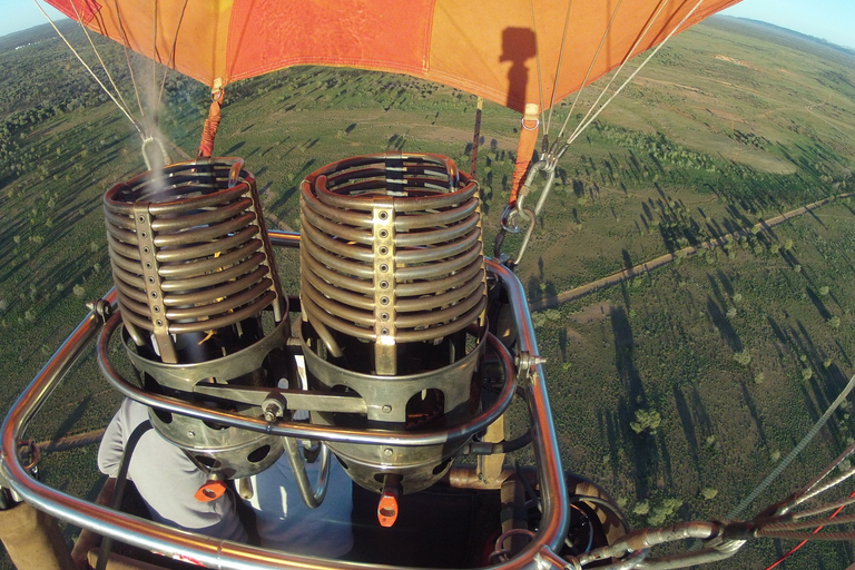 Alice Springs: Volo in mongolfiera di prima mattinaVolo in mongolfiera di 30 minuti da Alice Springs