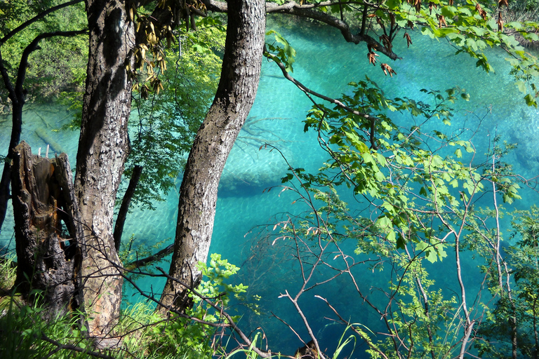 From Split: Plitvice Lakes Fully-Guided Day Tour From Split: Plitvice Lakes Full-Day Tour