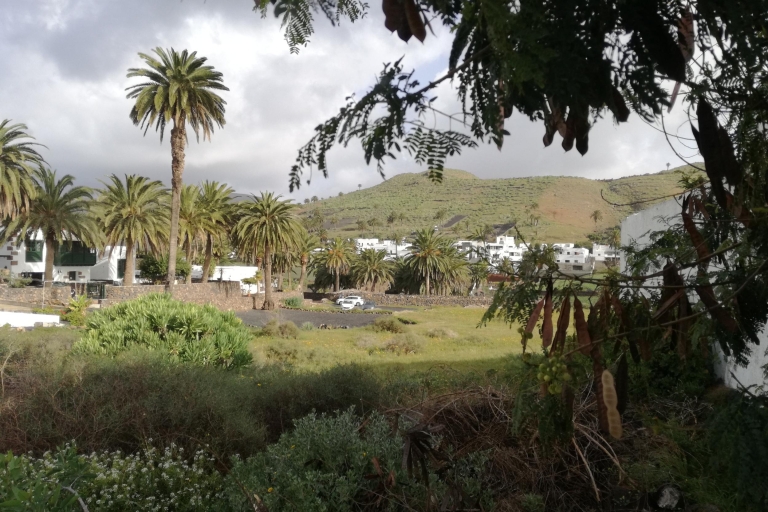 Lanzarote: Jameos del Agua i północ wyspy dla osób z rejsu