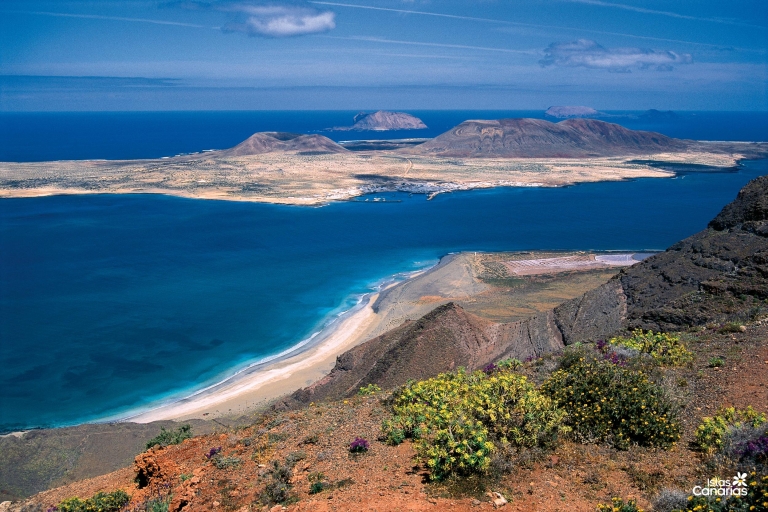 Lanzarote: Jameos del Agua y viaje al norte para cruceristas