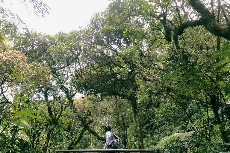 Kandy: escursione di 2 giorni sul monte Knuckles e tour del villaggioKandy: escursione di 2 giorni sul monte Knuckles e tour dei villaggi