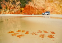 Noosa to Rainbow Beach, 4-Wheel Drive Tour in Great Sandy NP - Housity
