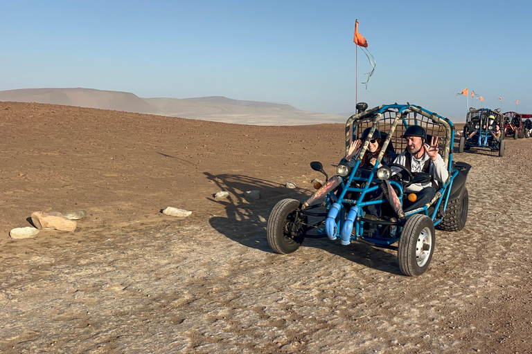 Paracas: Ballestas Islands Boat Tour & Mini Buggy Ride