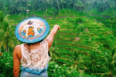 Ubud: tour privato della cascata, delle terrazze di riso e della foresta delle scimmie