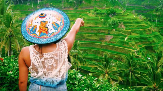 best of ubud waterfall rice terraces monkey forest