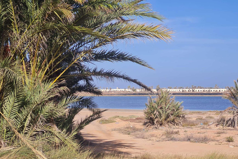 Djerba: Eco-friendly Guided E-bike Ride to the Blue Lagoon Djerba: Guided Eco Ride by E-Bike to the Blue Lagoon