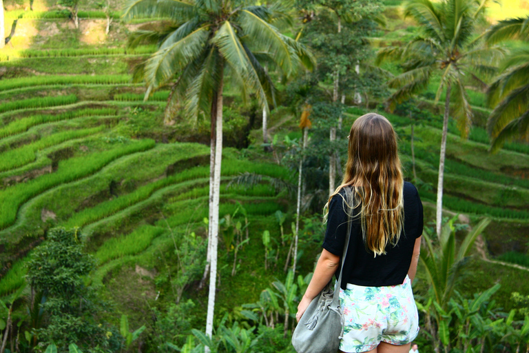 Bali: Excursão de 1 Dia Arrozais de Ubud, Templos e Vulcão