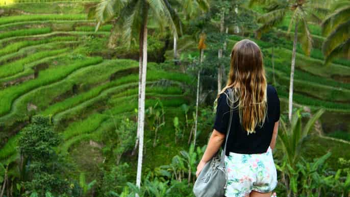 bali all inclusive ubud rice terraces temples volcano