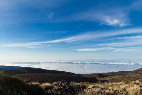 From Playa de las Américas: Full-Day Teide Jeep Safari