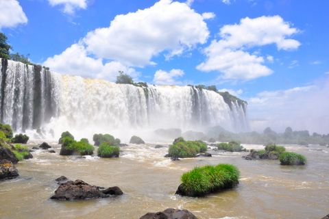 Foz do Iguaçu: Iguazu Falls, Bird Park & Itaipu Dam Day Trip
