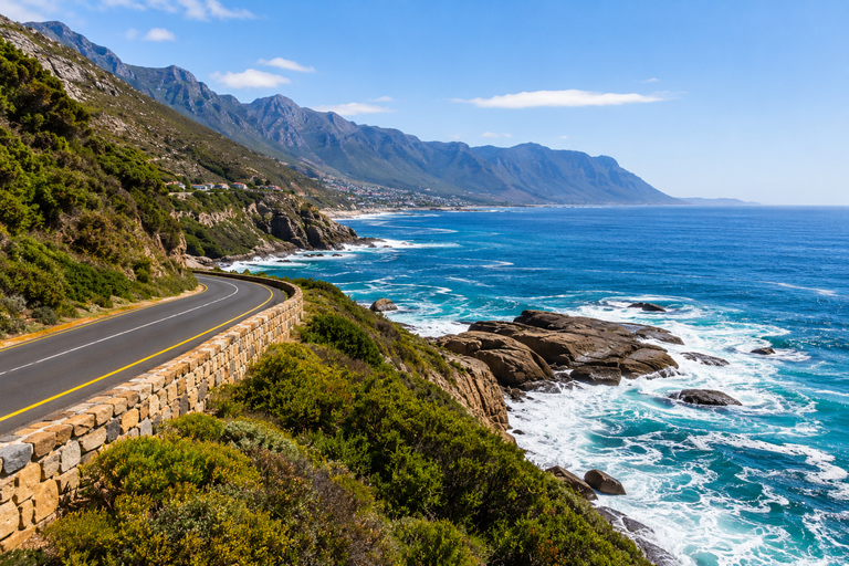 Cape Town: Whale Watching & Penguin Coastal Tour