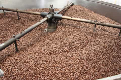 Bogotá to Hacienda Coloma Coffee Tour