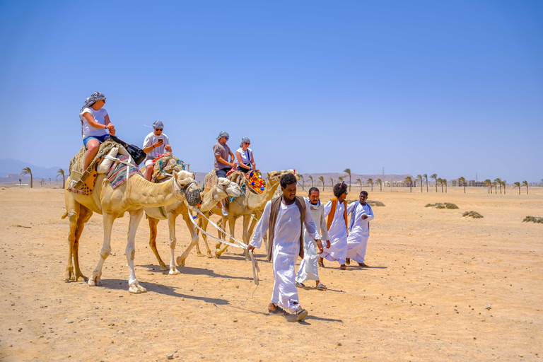 Marsa Alam: Stargazing on the Beach with 4-Ride Safari