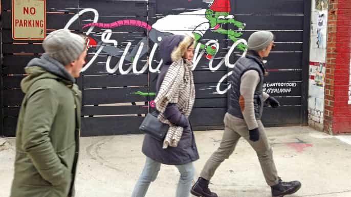 brooklyn tour privato a piedi di 2 ore a williamsburg