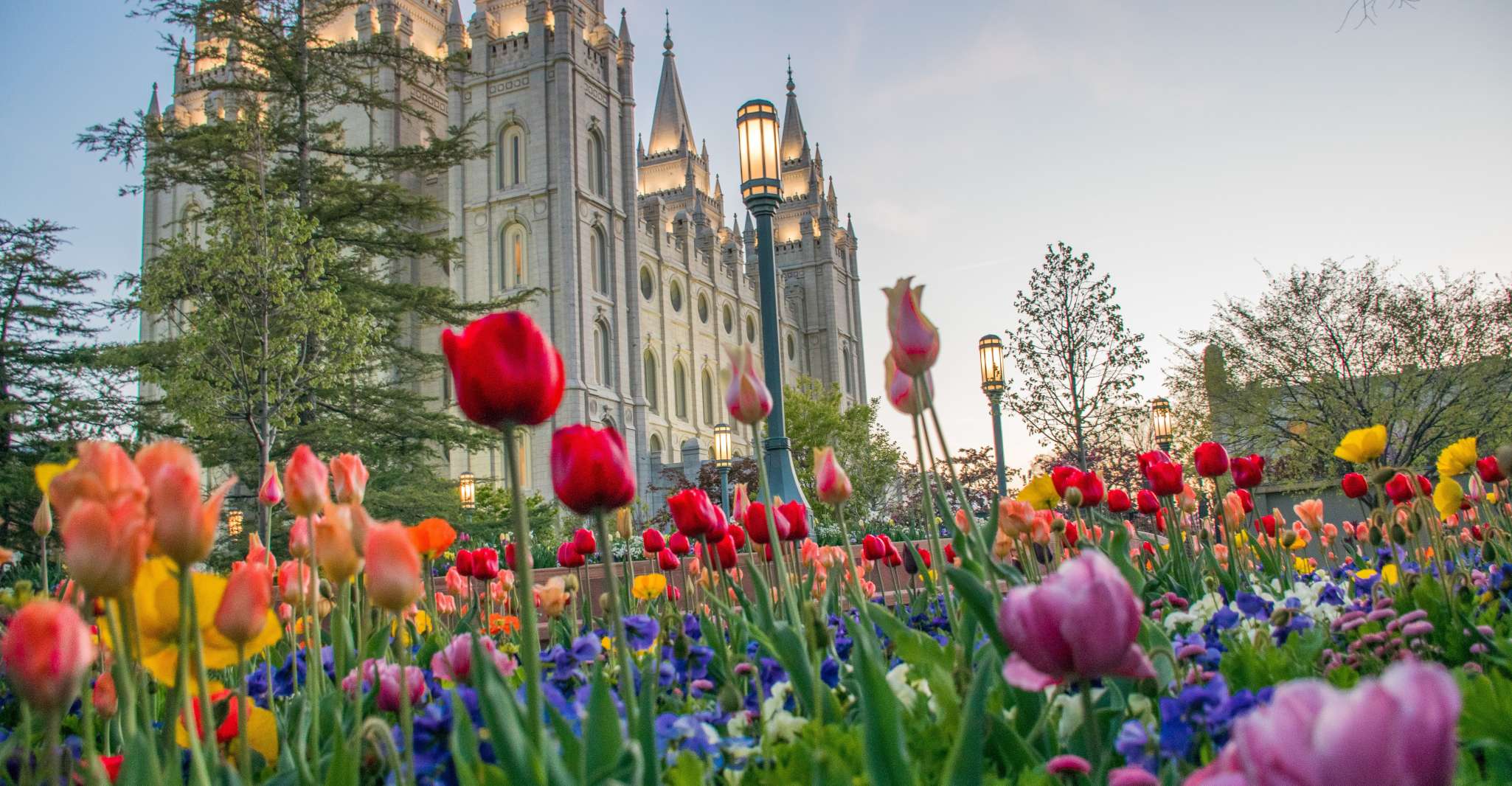 Salt Lake City, Guided City Tour and Mormon Tabernacle Choir - Housity