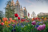 Salt Lake City, tournée de la ville guidée et chœur de taberne mormon - Housity