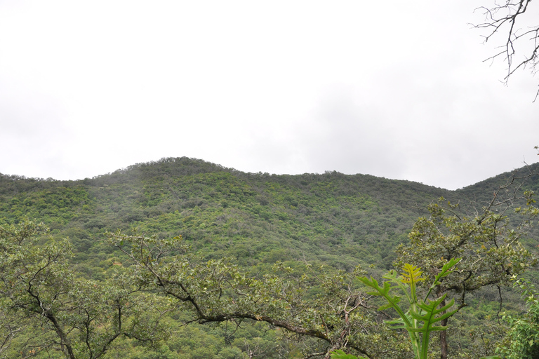Senderismo en el parque Nacional Benito Juárez