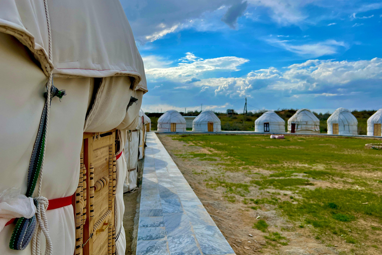 From Bukhara/Samarkand: 2-Day Aydarkul Lake & Yurt Camp Tour Private tour to Aydar Lake & Yurt from Bukhara to samarkand