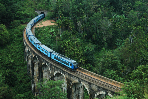 Visita lo Sri Lanka 7 escursioni di andata e ritorno