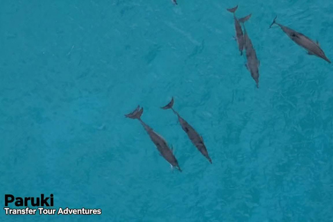 Vanuatu: Tanna Coffee Factory Tour and Pele Island Trip