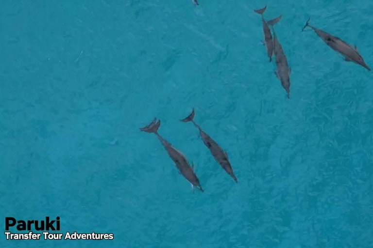 Vanuatu: Tanna Coffee Factory Tour and Pele Island Trip