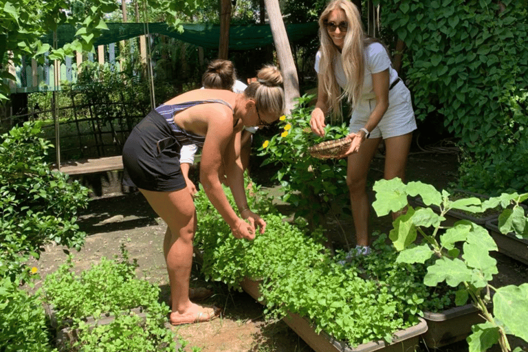 Ho Chi Minh: Fruit Garden &amp; Farm-to-Table Experience