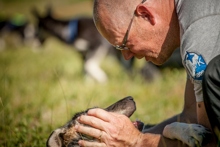 Tromsø : entraînement de chiots à la ferme des huskies