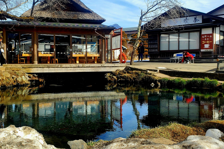 Mount Fuji & Hakone Full-Day Private Tour (Customizable) Hakone & Mount Fuji Tour w/English speaking guide