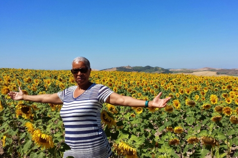 Z Sewilli: prywatna wycieczka do Rondy i Malagi