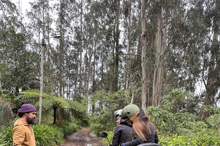 Madère : aventure privée en quad ou QUAD hors route Santana