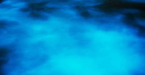 Montego Bay: Luminous Lagoon Night Tour by Boat