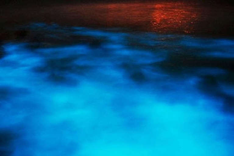 Bahía Montego: crucero nocturno por la laguna luminosa