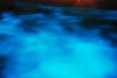 Montego Bay: Passeio noturno de barco pela Lagoa Luminosa