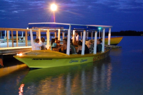 Montego Bay : tour en bateau de nuit sur le lagon lunimeux