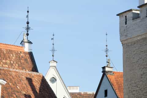 Best of Tallinn with Kadriorg Palace and Pirita Tour