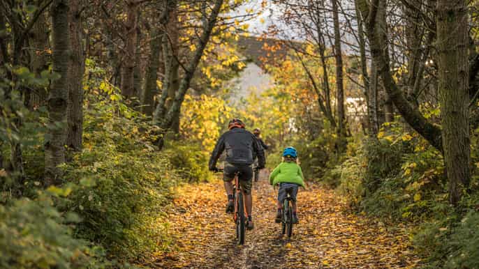 edinburgh 3hour private cycling tour