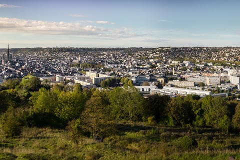 Découvrir Rouen : visite privée à pied avec un habitant