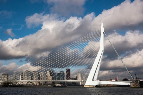 Rotterdam: Private Tour with a Local 4-Hour Tour