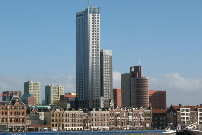 Rotterdam: Private Tour with a Local 4-Hour Tour