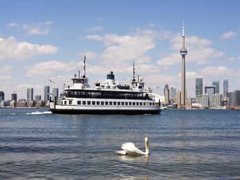 Toronto: Tages-Sightseeingtour in der Kleingruppe Toronto: Tages-Sightseeingtour in der Kleingruppe
